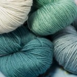 Whiff of Pashmina