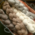 Blue Sky Alpacas at Loop!
