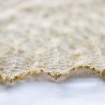 Beginner’s Lace Shawl edge