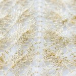Beginner’s Lace Shawl spine
