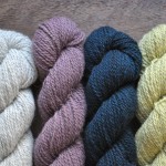 Quince & Co Owl (L-R) Elf, Amethyst, Huckleberry, Yucca. Loop, London. www.loopknitlounge.com