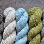 Quince & Co Owl (L-R) Papuan, Tyto, Cielo, Chamomile, Soukoke, Loop, London. www.loopknitlounge.com
