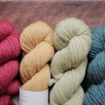 Quince & Co Puffin (L-R) Rosa Rugosa, Carrie’s Yellow, Leek, Aleutian. Loop, London