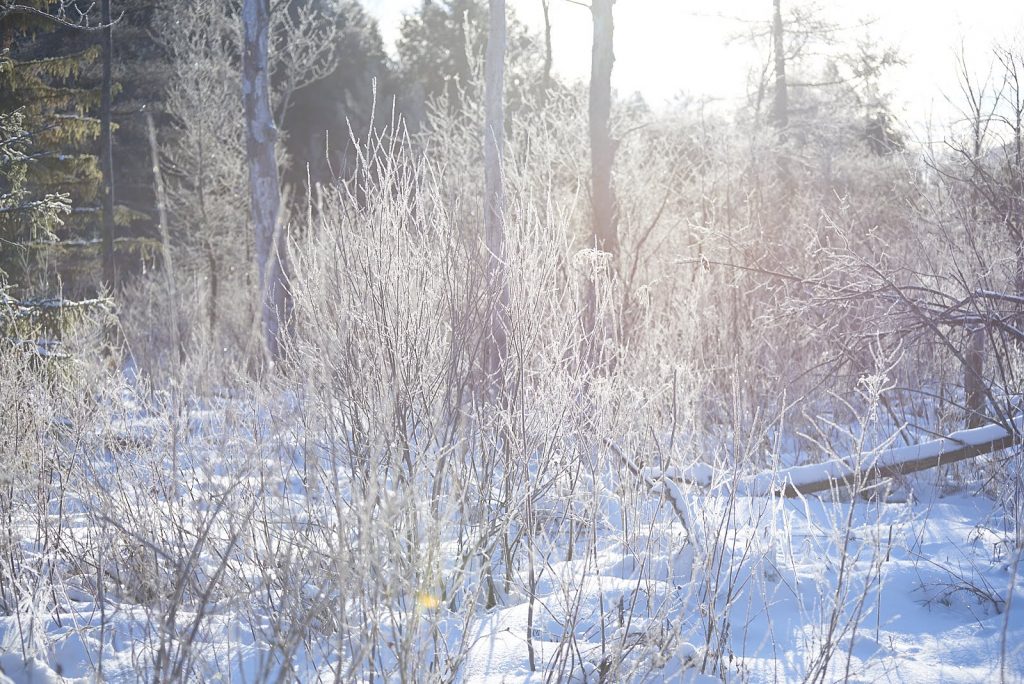 Knits About Winter - Emily Foden