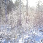 Knits About Winter – Emily Foden 1