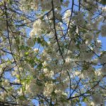 Emma’s comfort at Loop London 3