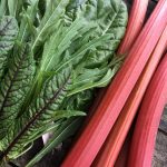 Jane’s comfort at Loop London 1