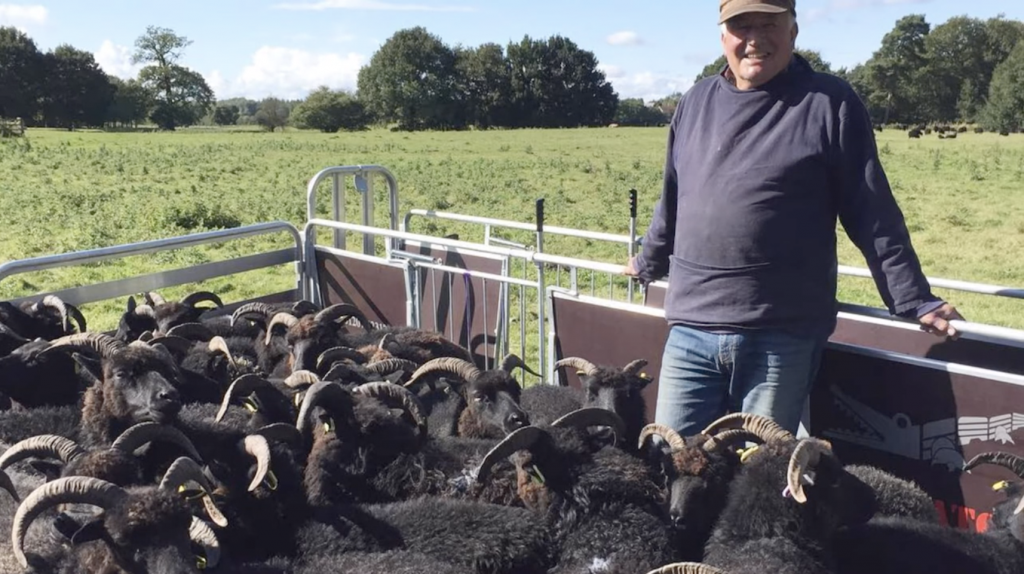 Meet the Maker Rachel Atkinson at Loop London