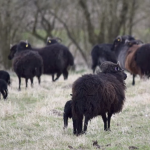 Meet the Maker Rachel Atkinson at Loop London 2