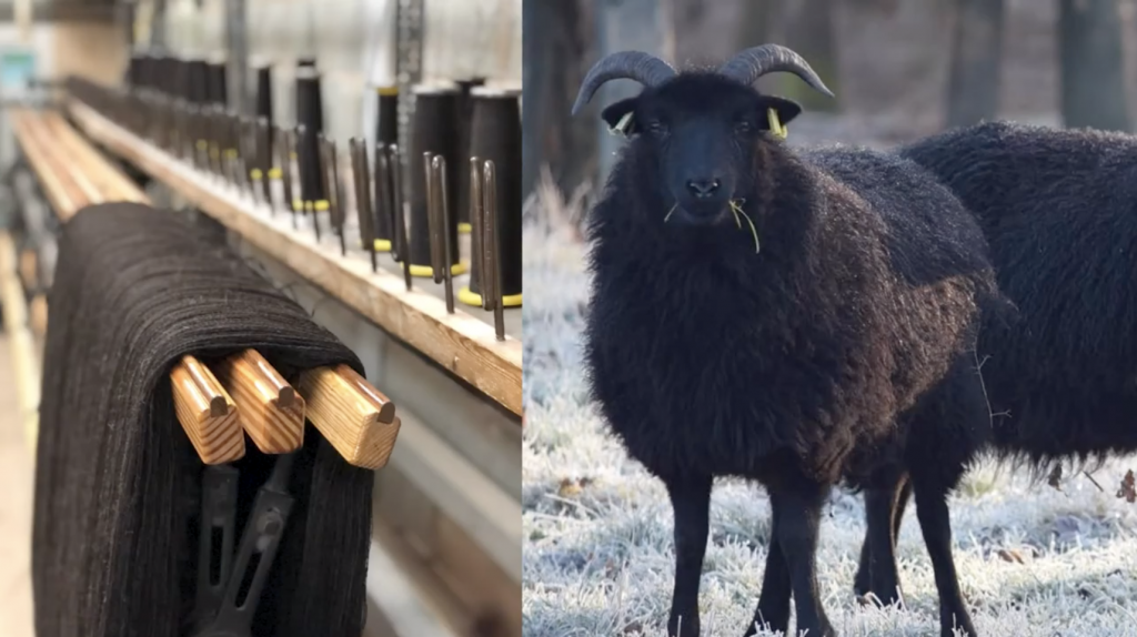 Meet the Maker Rachel Atkinson at Loop London