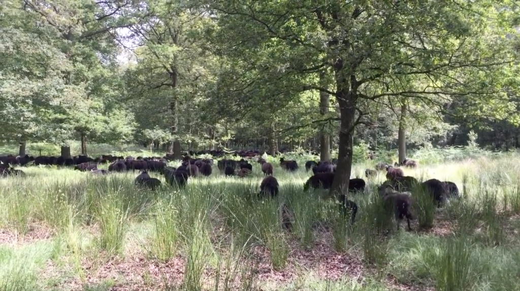 Meet the Maker Rachel Atkinson at Loop London