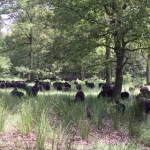 Meet the Maker Rachel Atkinson at Loop London 5