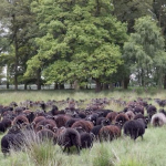 Meet the Maker Rachel Atkinson at Loop London 9