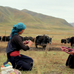 Meet the Maker Paola Vanzo at Loop London 2