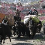 Meet the Maker Paola Vanzo at Loop London 4