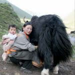 Meet the Maker Paola Vanzo at Loop London 5