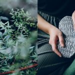 52 weeks of socks at Loop London