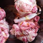 Town Dyer Cochineal and Coreopsis Bundle Dye for Loop London