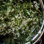 Town Dyer for Loop London 2