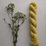 Town Dyer for Loop London in Wild Chervil