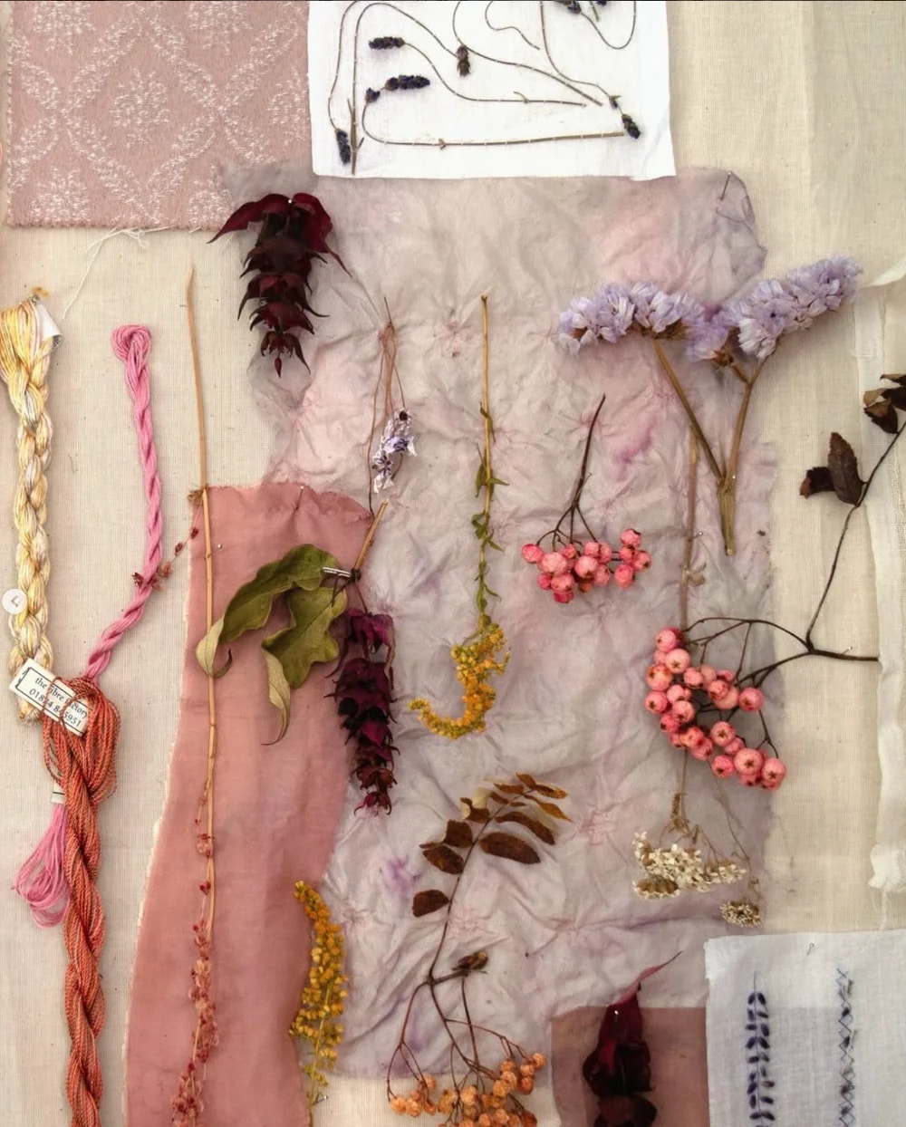 The Wild Craft of “Stitching with Nature”